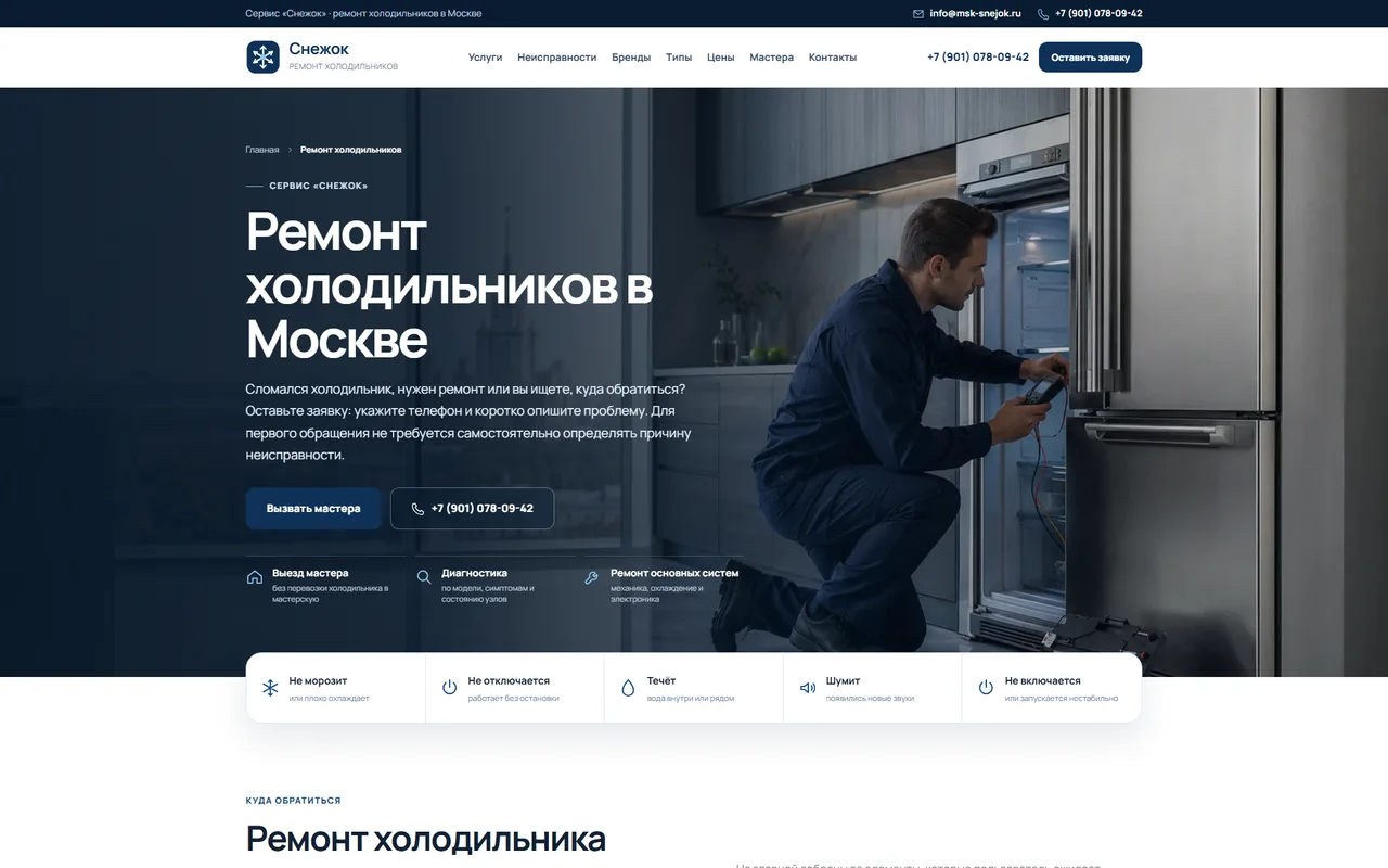 Снежок — пример разработанного сайта